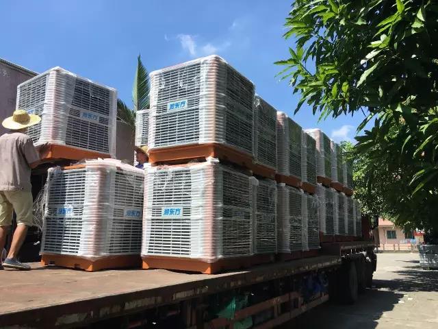 工廠車間快速降溫方法，你知道嗎？