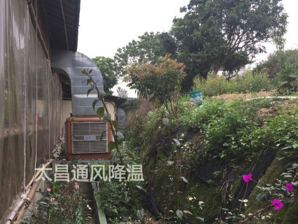 餐廳太熱？環(huán)保空調(diào)為你送清風(fēng)